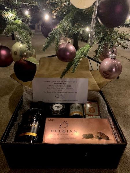 Surprise Christmas Box!