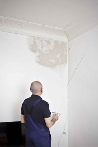 Mould Inspection