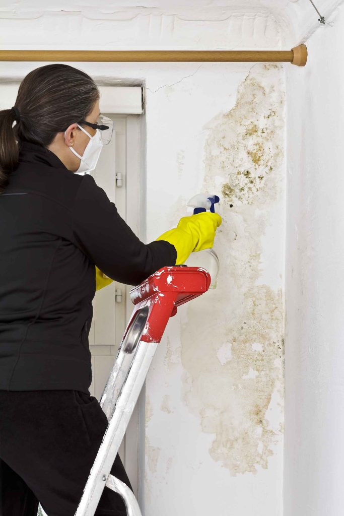 Mould Remediation