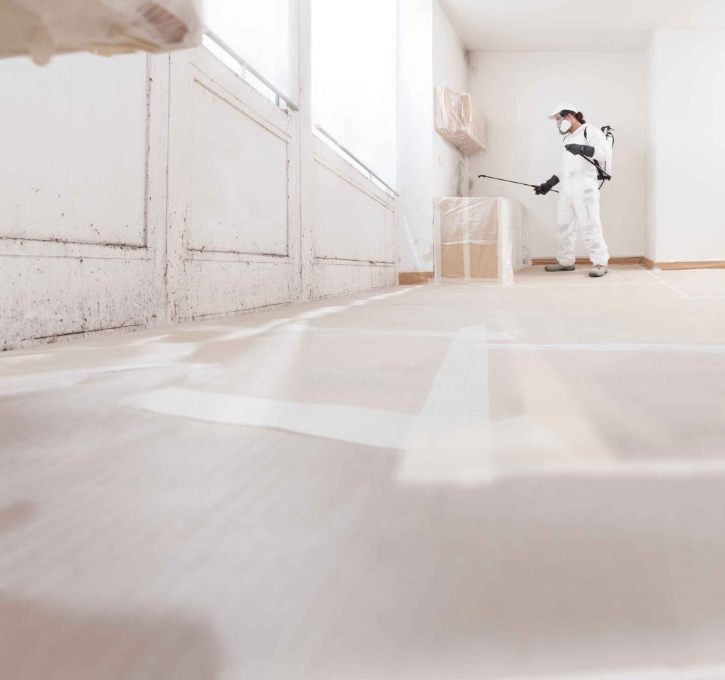 Mould Remediation