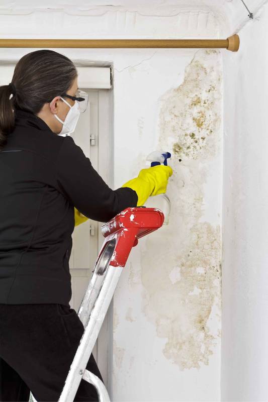 Professional Asbestos Management Company
