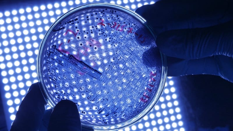 Legionella Training