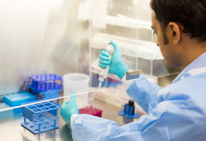 Asbestos Bulk Sampling & Laboratory Testing services
